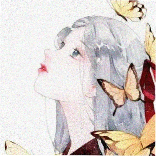 观众 北纬四十度 头像